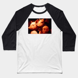Three Little Pigs Baseball T-Shirt